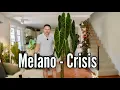 Download Lagu Recovery - growing my Melano back to health