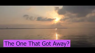 The one that got away. Little boxes. OTB 155