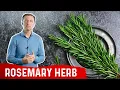 Download Lagu The Health Benefits of Rosemary