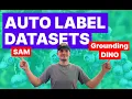 Accelerate Image Annotation with SAM and Grounding DINO Python Tutorial