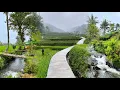 Download Lagu Suasana Desa Saat Hujan: Gunung, Sawah, dan Sungai yang Membuat Rindu Kampung 
