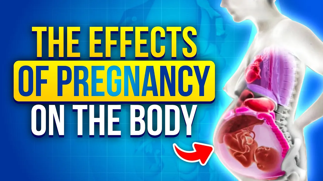 How a Mother's Body Changes During Pregnancy Animation Video | What to expect when you're Pregnant