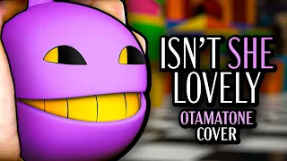 Isn't She Lovely - Otamatone Cover
