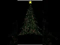 Drawing Christmas Tree with Python