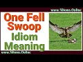One Fell Swoop Meaning idioms In English