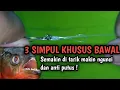 Download Lagu 3 CARA Mengikat Kail Pancing Anti Putus Untuk MANCING BAWAL | Versi NEKAD MANCING