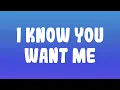 Pitbull - I Know You Want Me (Calle Ocho)