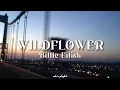 Billie Eilish - Wildflower ( Lyrics)