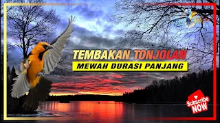 Download MASTERAN Tembakan Tonjolan Mewah Durasi Panjang MP3
