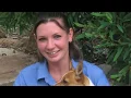 RSPCA ACT -  We Love What We Do