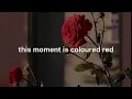Download Lagu ✨izone- la vie en rose (english lyrics)