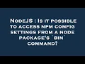 NodeJS Is it possible to access npm config settings from a node package s bin command