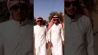 ابو حمام 