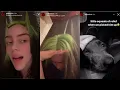 Download Lagu Billie Eilish FULL Instagram story: new album \u0026 Shark (her dog) ATE WHAT?! December 21, 2020