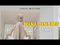 Download Lagu Cut Rani - Mana Janjimu (Official Music Video)