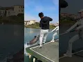 Download Lagu Mancing ikan betok monster ⁉️😱