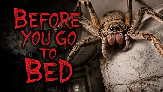 Australia's SCARIEST spider close up (Don't watch before bed)!