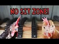 Coop TLC Nesting Box Repair Roosting Lessons for Happy Hens