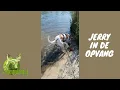 Download Lagu Kopie van Zonder titel Video 1