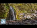 Dodgeville S33 Ep 13