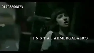 مهرجان اموت في القشطه دندنها