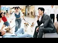 Download Lagu Cheater exposed!Poor girl sends her dog for revenge—CEO sees and falls for her fierceness!