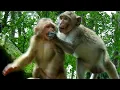 Download Lagu OMG..Br@t Jonna closed mouth her new best friend trying announce the troop.