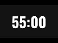 55 Minute Timer