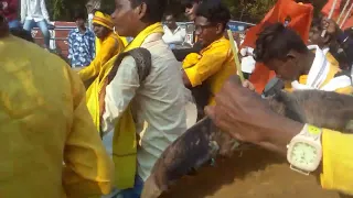 jamani