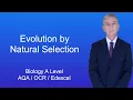 A Level Biology Revision Evolution by Natural Selection