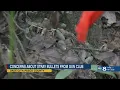 Dade City residents growing with fear as stray bullets continue to fly onto their property