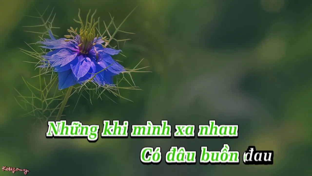 LK NGỰA HOANG - SC cùng  ♓️.♑️