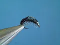 Gray Shrimp