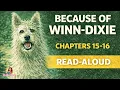 Because of Winn-Dixie Read Aloud Chapters 15 16 Kate DiCamillo 4th 5th Grade Novel Study