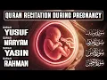 Lagu Quran Recitation During Pregnancy ( MUST LISTEN ) Surah Yusuf, Maryam, Yasin, Rahman | Habibullah TV