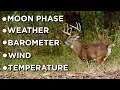 WHAT Conditions ACTUALLY Affect Deer Movement Moon Phase Barometer Weather