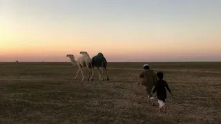 ت لاوة آس رة ل سورة الن ساء عبدالرحمن الماجد 