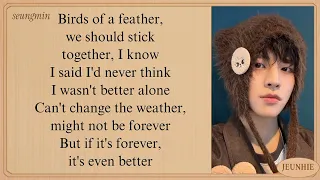SKZ SEUNGMIN Bird Of A Feather Lyrics Cover Song  SKZ SEUNGMIN Bird Of A Feather Lyrics Cover Song
