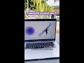 Download Lagu Powerpoint Practical Joke 😂