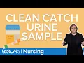 How to Collect A Clean Catch Urine Sample Lecturio Nursing