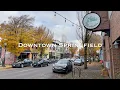 Downtown Springfield Oregon Walk - Simpsons Murals and Fall Foliage