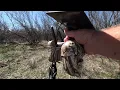 4G LTE Cellular Wireless Trail Camera By Ebitcam Review