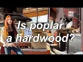 All About Poplar What s it good for