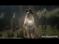 Funny Or Die Best GIFS Of All Time Laughing GIFS Compilation