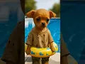 Lagu A Poor Puppy Going Swimming Pools #ai #viral #video #shorts #youtubeshorts