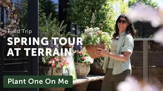 SPRING Tour at TERRAIN's Plant Shop in Devon, PA — Ep. 443