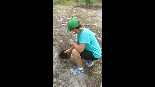 Helen and the Echidna