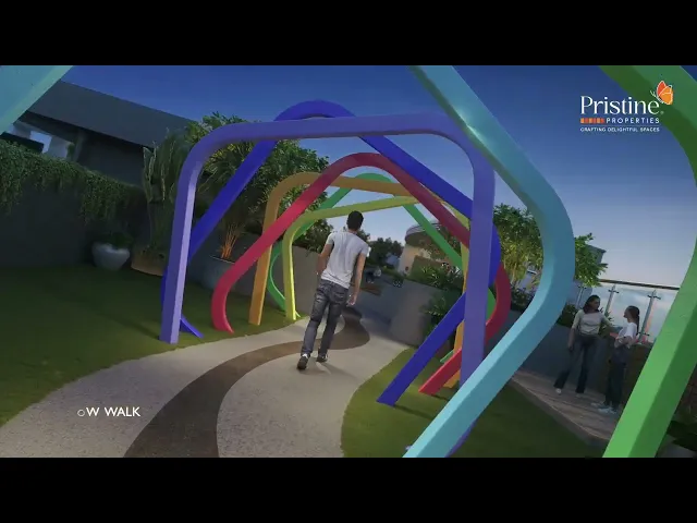 Project Video