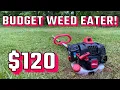 Testing The Cheapest Weed Eater From Walmart Is It Any Good