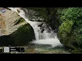 174 Hz + 528 Hz 🌿 Cortisol Flush • Activate Parasympathetic Nervous System & Calm Your Mind 🧘